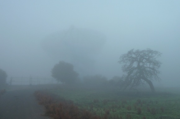 Big Dish in the fog