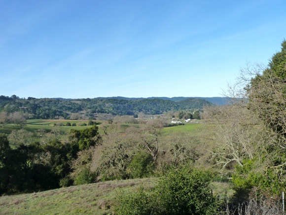 View looking west from Ladera in Menlo Park