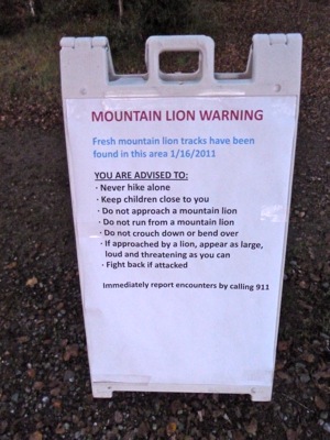 Mountain lion warning sign on Stanford campus