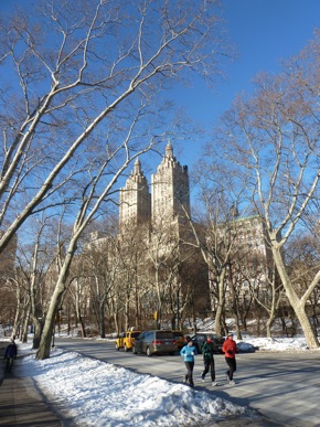 Central Park Jan 2011