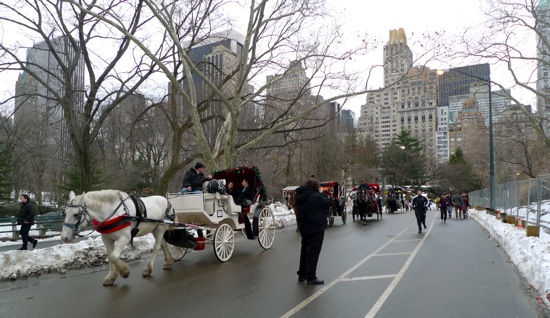 Central Park New York City 1/2/11