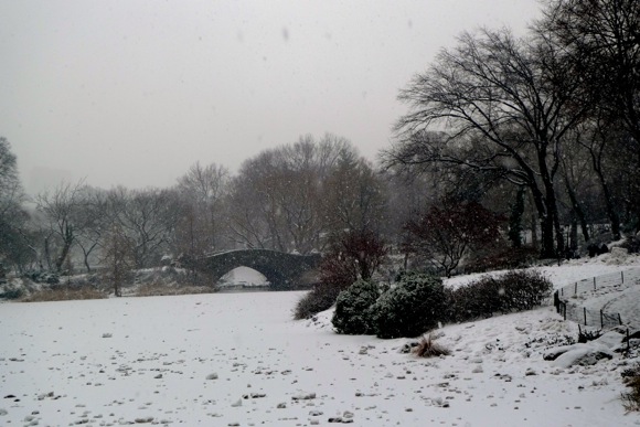 Snowy weather in NYC on 1/7/11