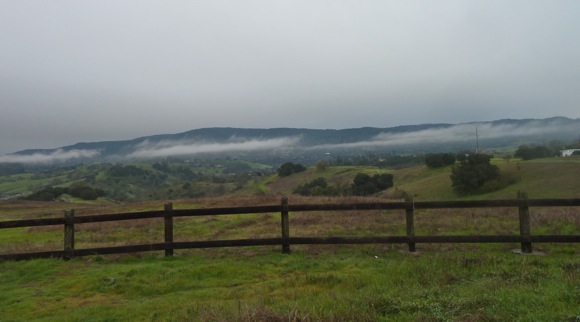 Looking south on Big Dish land