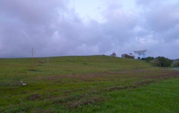 Big Bird near Big Dish