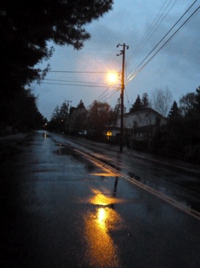 rainy morning in Menlo Park