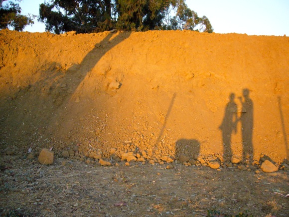 Shadowy Dawn Joggers and Cassie