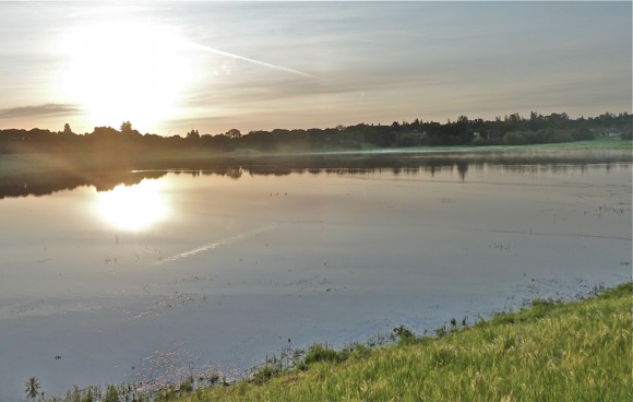 Lake Lagunita on March 29, 2011