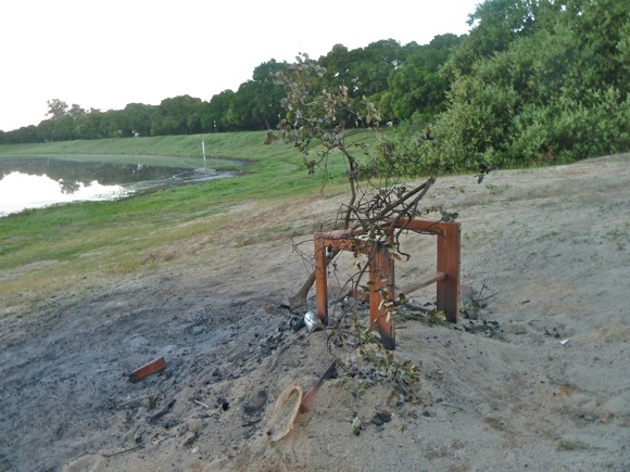 found art at Lake Lagunita