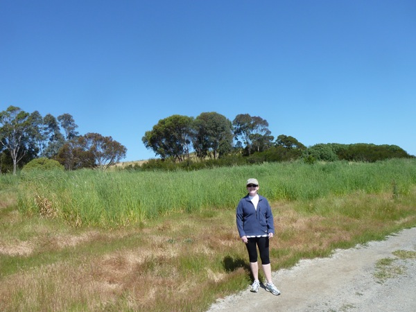 Bedwell Bayfront Park