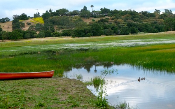 Lake Lagunita June 2011