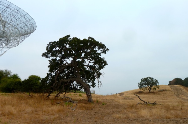 Big Dish August 2011