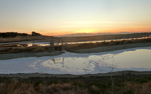 Bedwell Bayfront Park