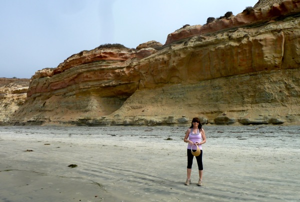 Torrey Pines State Beach