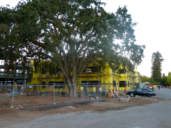 construction of the new Hillview School