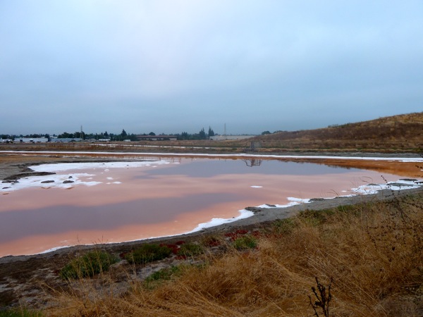 salt flats_091411 Bedwell Bayfront Park
