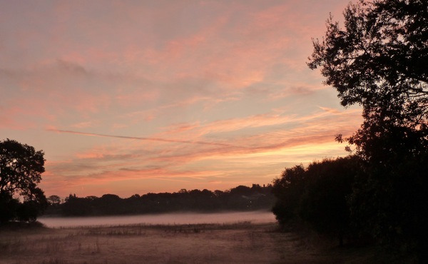 dry but tule filled Lake Lagunita