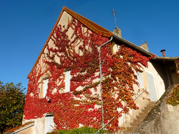 house in Ameungy France
