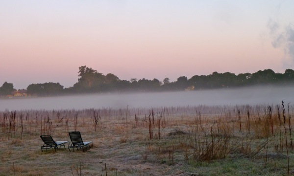 Lake Lagunita with tule fog