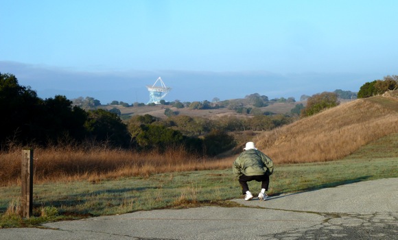 morning Dish exerciser_112111 Big Dish