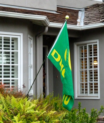 oregon ducks_111111