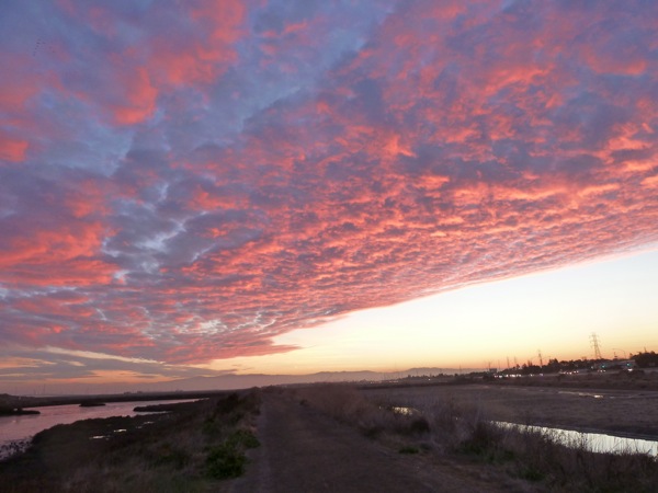 dawn at Bedwell Bayfront Park